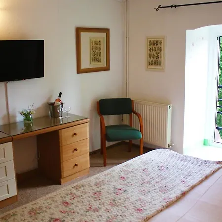 Casa Olga ゲストハウス 3*