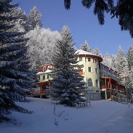 Casa Olga プルウル・レチェ